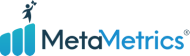 MetaMetrics Logo